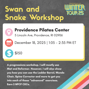 dec. 18 '25 1:05pm et providence ri swan and snake workshop