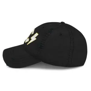 2026 Summer Tour Distressed Dad Hat